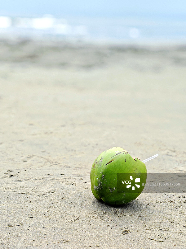 三亚湾沙滩上的椰子特写图片素材