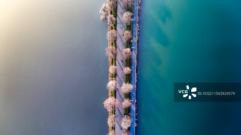 东桥之晨图片素材