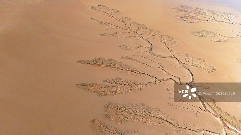 海宁潮汐树与苏绍大桥图片素材