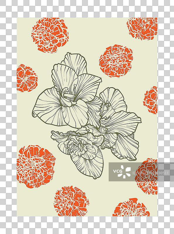 A4  gladiolus 和万寿菊图片素材