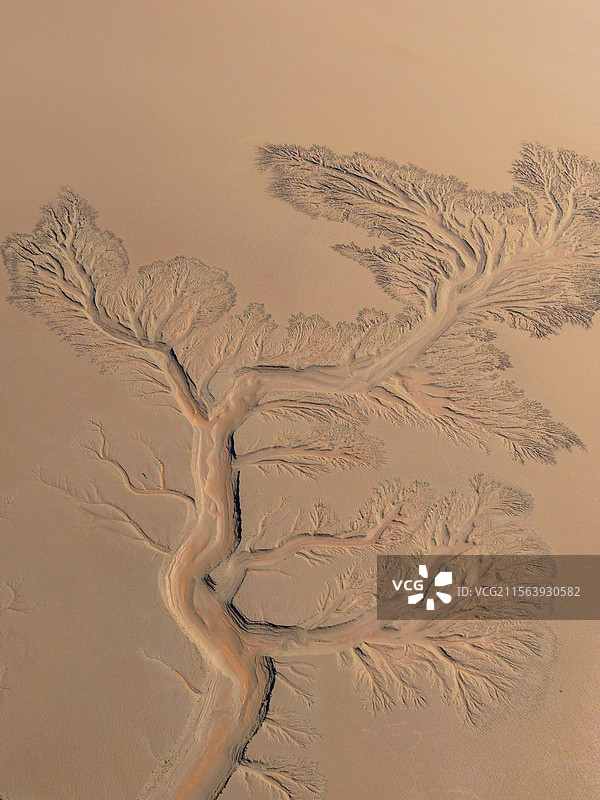 海宁潮汐树与苏绍大桥图片素材