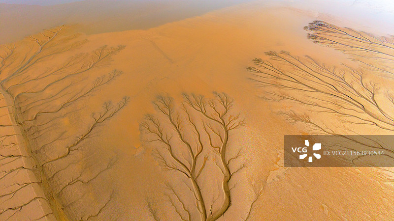 海宁潮汐树与苏绍大桥图片素材