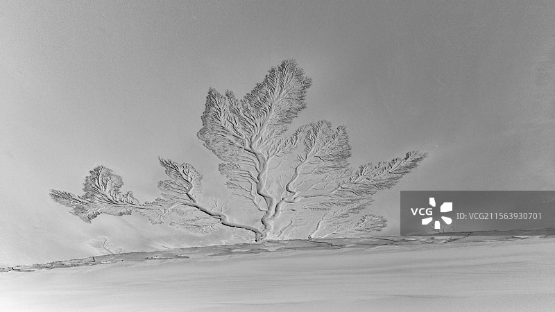 海宁潮汐树与苏绍大桥图片素材