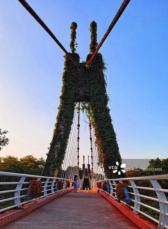 广州海珠湿地飞龙桥图片素材