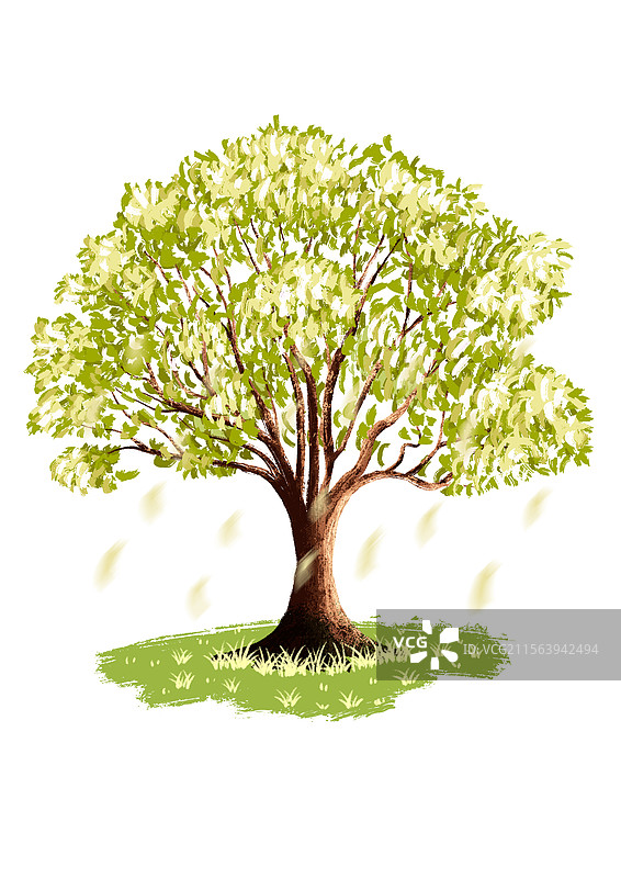 开满鲜花的树图片素材