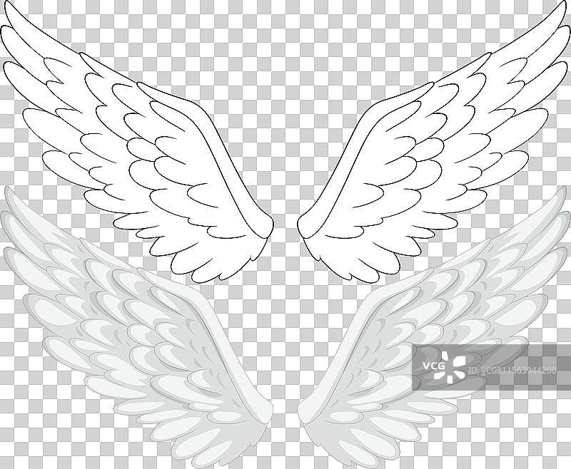 一对精致的白色天使翅膀图片素材