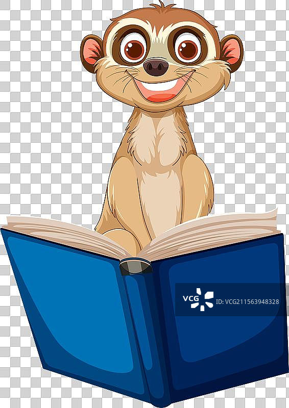 可爱的狐獴专心阅读一本蓝色的书。图片素材