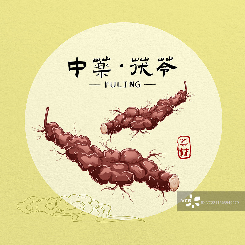 中药材茯苓图片素材
