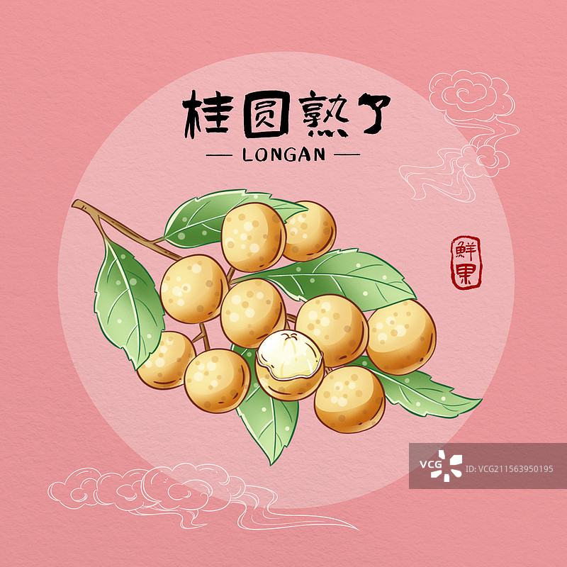 一串桂圆图片素材