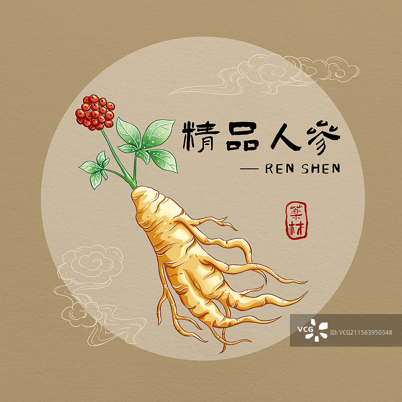 一株人参图片素材