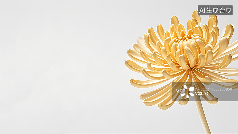 【AI数字艺术】菊花图片素材