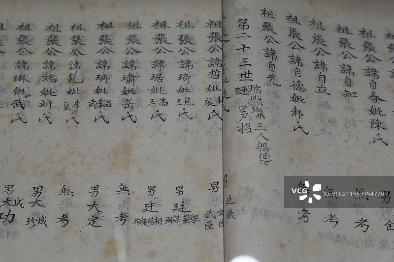 清代傅山妻族家谱图片素材