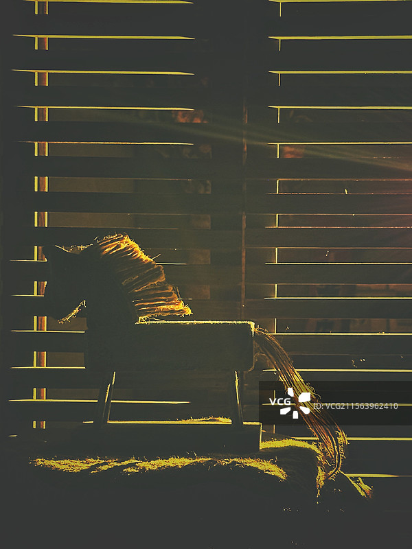 当光影点亮房间的角落——百叶窗边的玩具小马图片素材