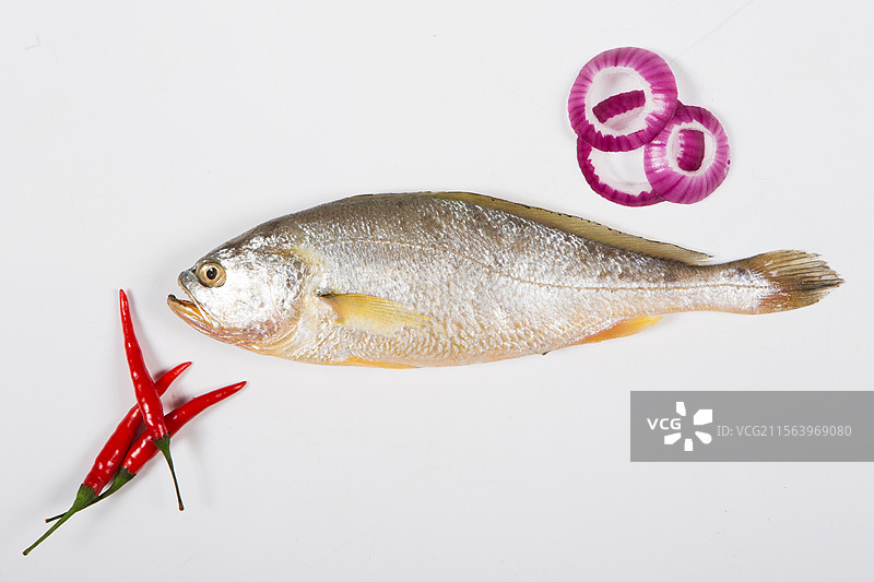 黄花鱼 大黄花鱼图片素材