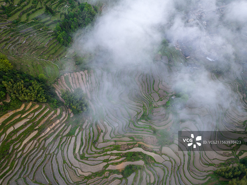 浙江省丽水市云和县云和梅源梯田春天云海村庄图片素材