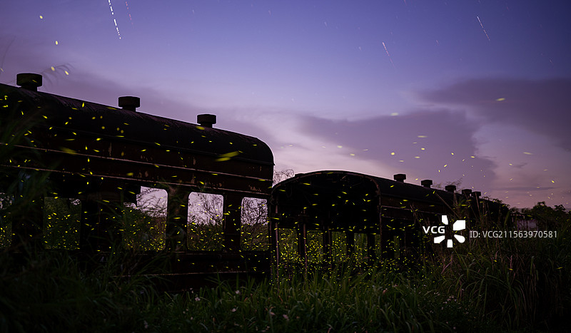 萤火虫与星空图片素材