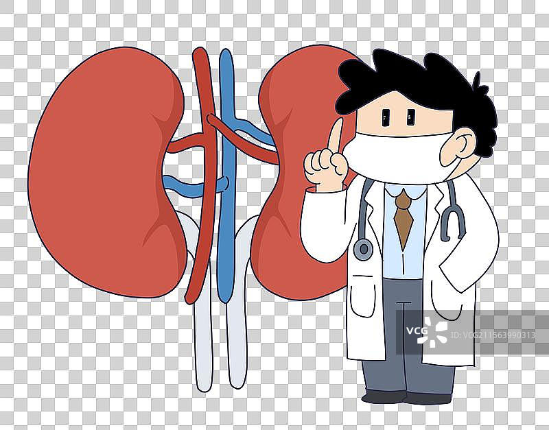 肾脏健康医疗医生图片素材