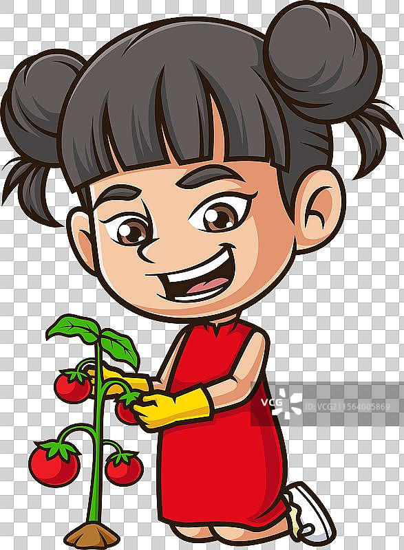 亚洲女孩照顾番茄藤的卡通形象图片素材