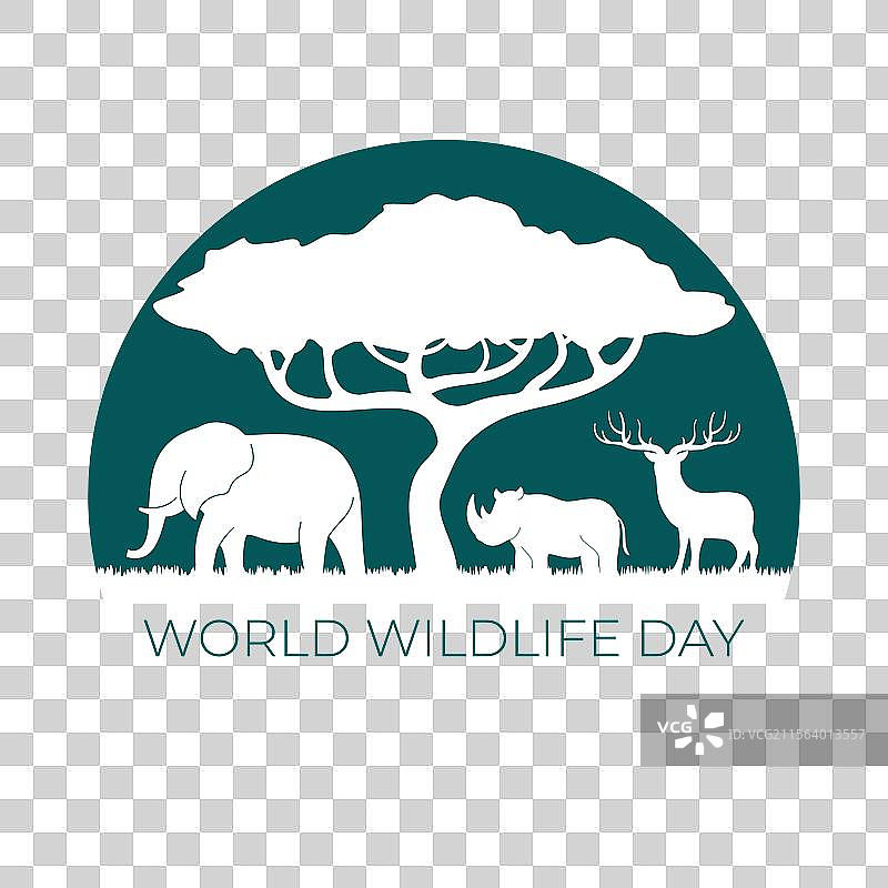 世界野生动物日图片素材