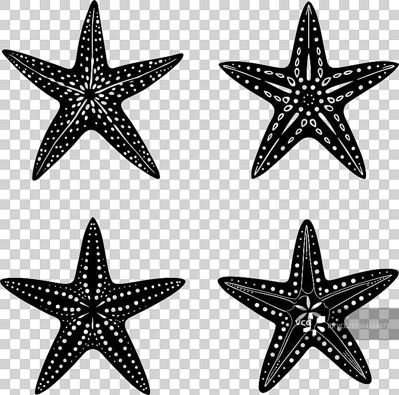 黑白海鱼剪影图片素材