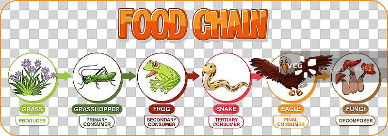描绘了一个简单的食物链过程图片素材