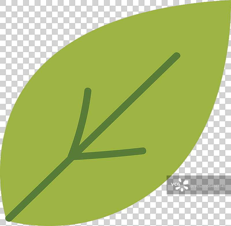 简单的绿色叶子自然艺术图片素材