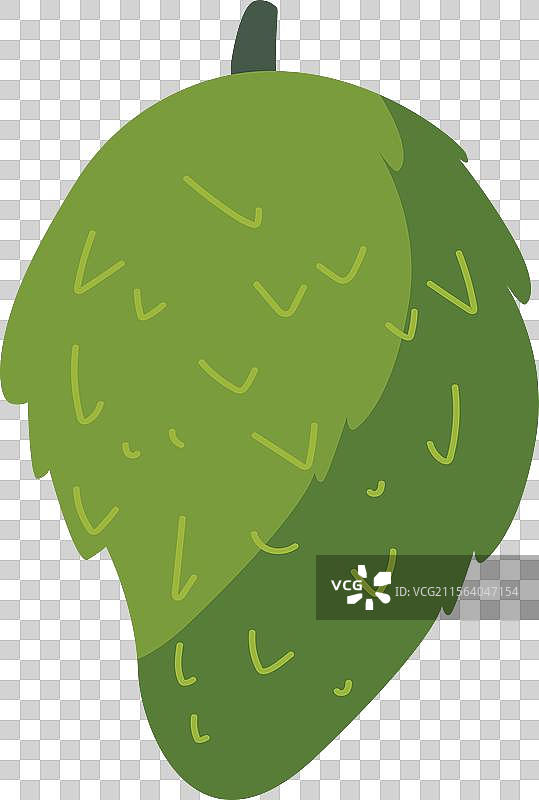 酸刺果 sirsak图片素材