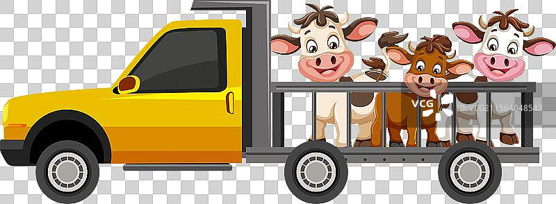 三头快乐的牛在一辆黄色的皮卡车里图片素材