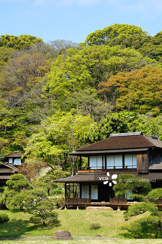 日本神奈川县横滨市，传统日式庭院，三溪园图片素材