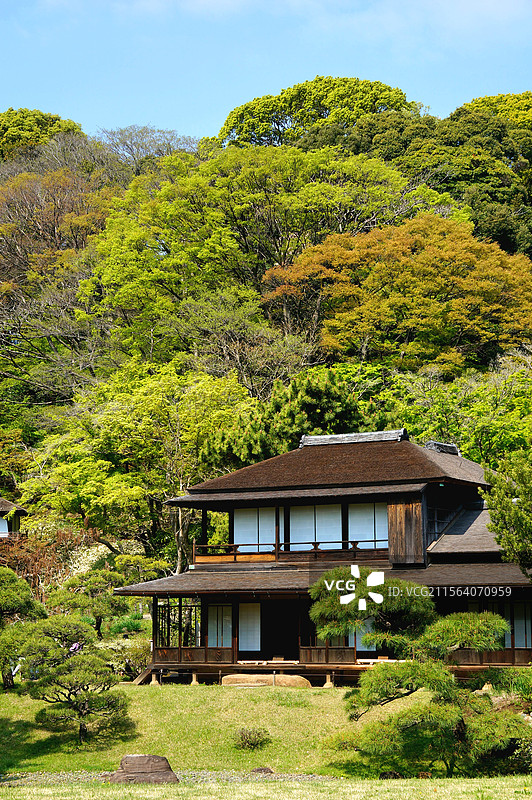 日本神奈川县横滨市，传统日式庭院，三溪园图片素材