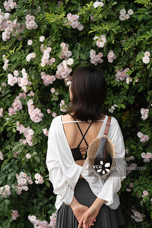 春天蔷薇与女人图片素材