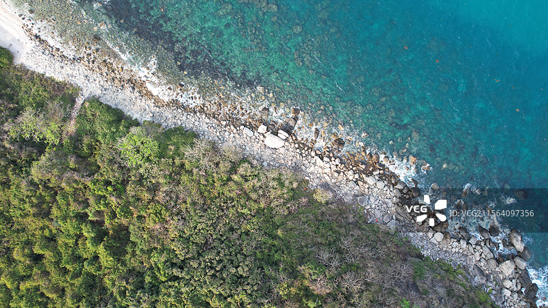 海湾与森林图片素材