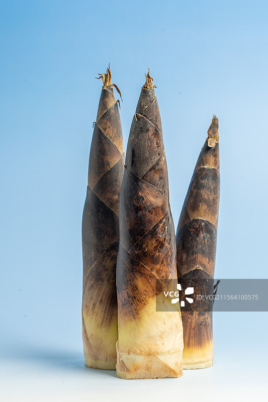 竹笋放在蓝色背景上图片素材