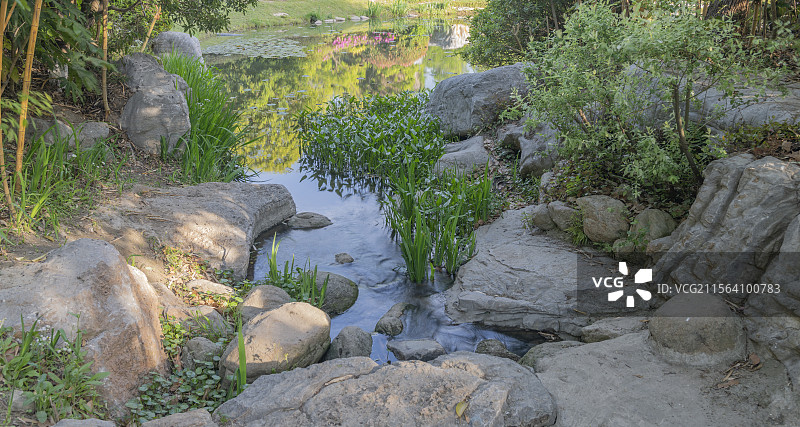 岩石上生长的树木和植物的高角度视图图片素材