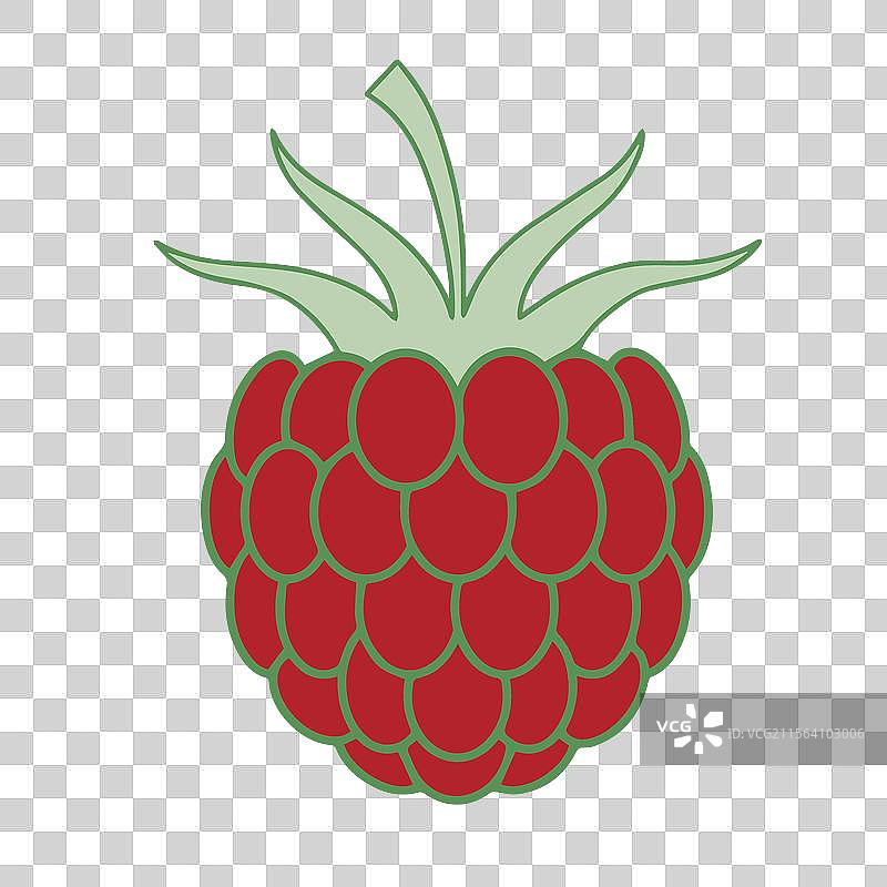 高质量的新鲜黑莓数字画作图片素材