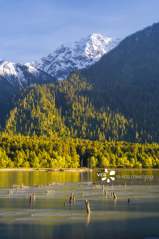 西藏波密古乡湖图片素材