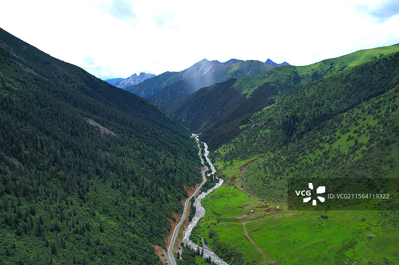 措普沟高山森林图片素材