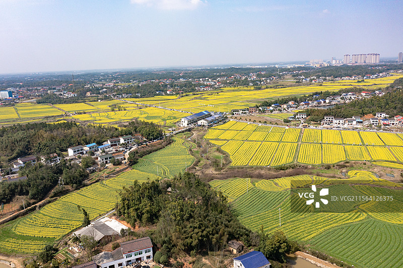 航拍湖南长沙茶亭镇油菜花海图片素材