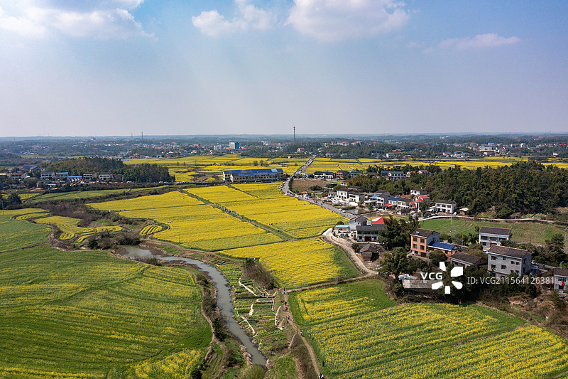 航拍湖南长沙茶亭镇油菜花海图片素材