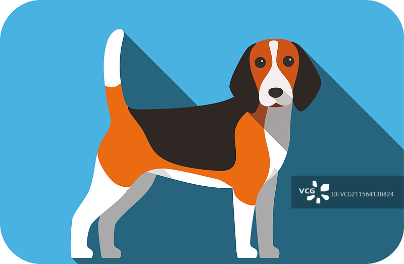 比格犬站着 侧面 脸朝前 卡通狗图片素材