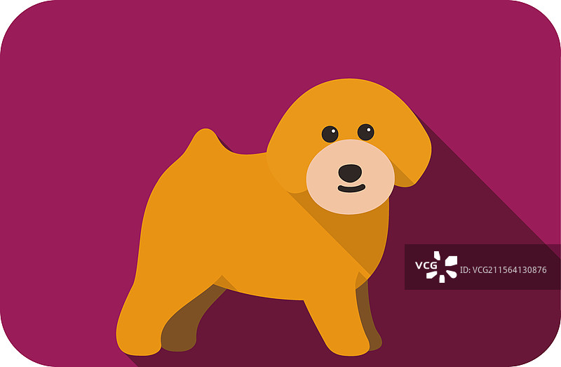 贵宾犬站着 侧面 脸朝前 卡通狗图片素材