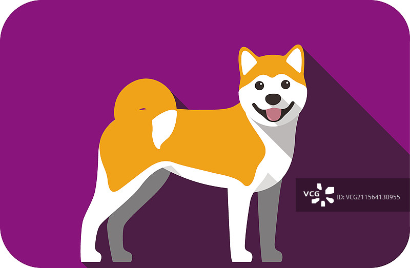 秋田犬站着 侧面 脸朝前 卡通狗图片素材