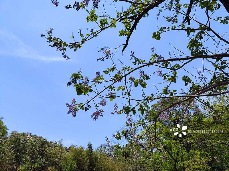 五莲山光明寺望海峰景区风景图片素材