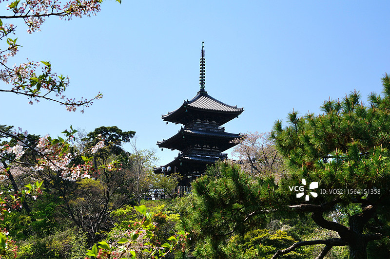日本神奈川县横滨市，三溪园的三重塔图片素材