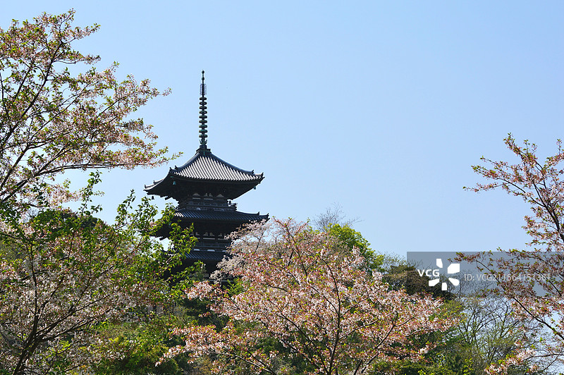 日本神奈川县横滨市，三溪园内的三重塔图片素材