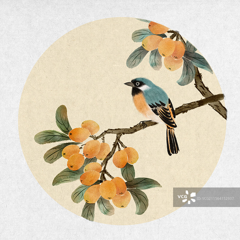 中国风国画枇杷与鸟植物禽鸟国画中式装饰画图片素材