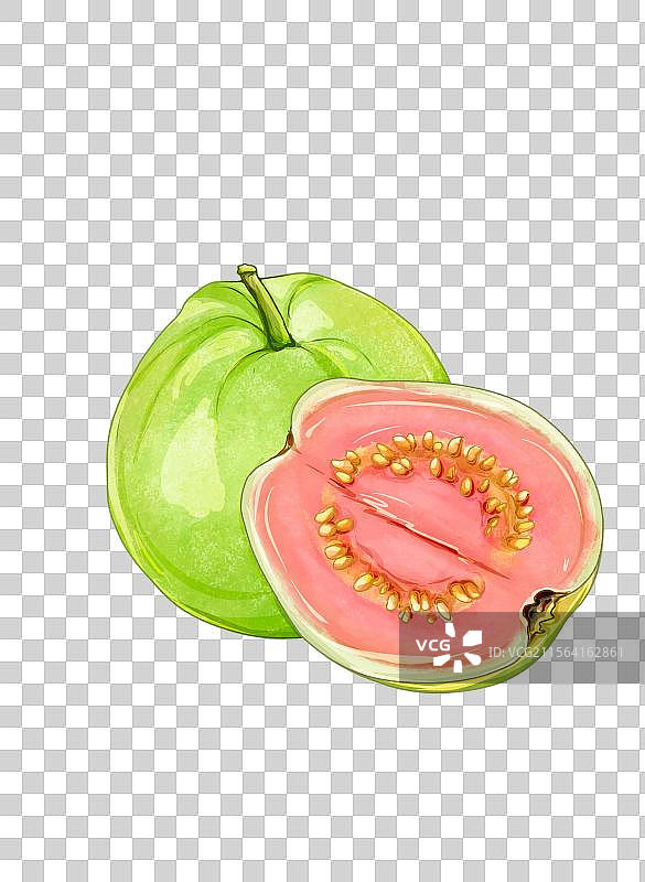 番石榴图片素材