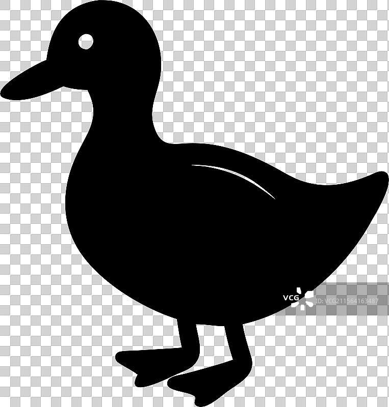 黑色鸭子轮廓标志，孤立在白色背景上图片素材