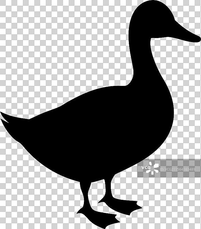 黑色鸭子剪影标志，孤立在白色背景上图片素材