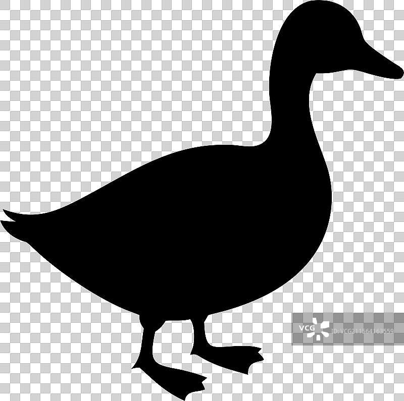 黑色鸭子轮廓标志，孤立在白色背景上图片素材